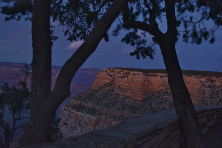 grand canyon south rim